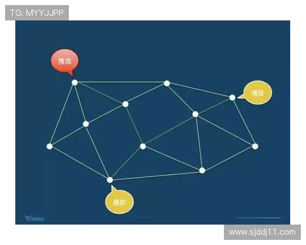 电视直播线路的多元化选择与优化方案探讨